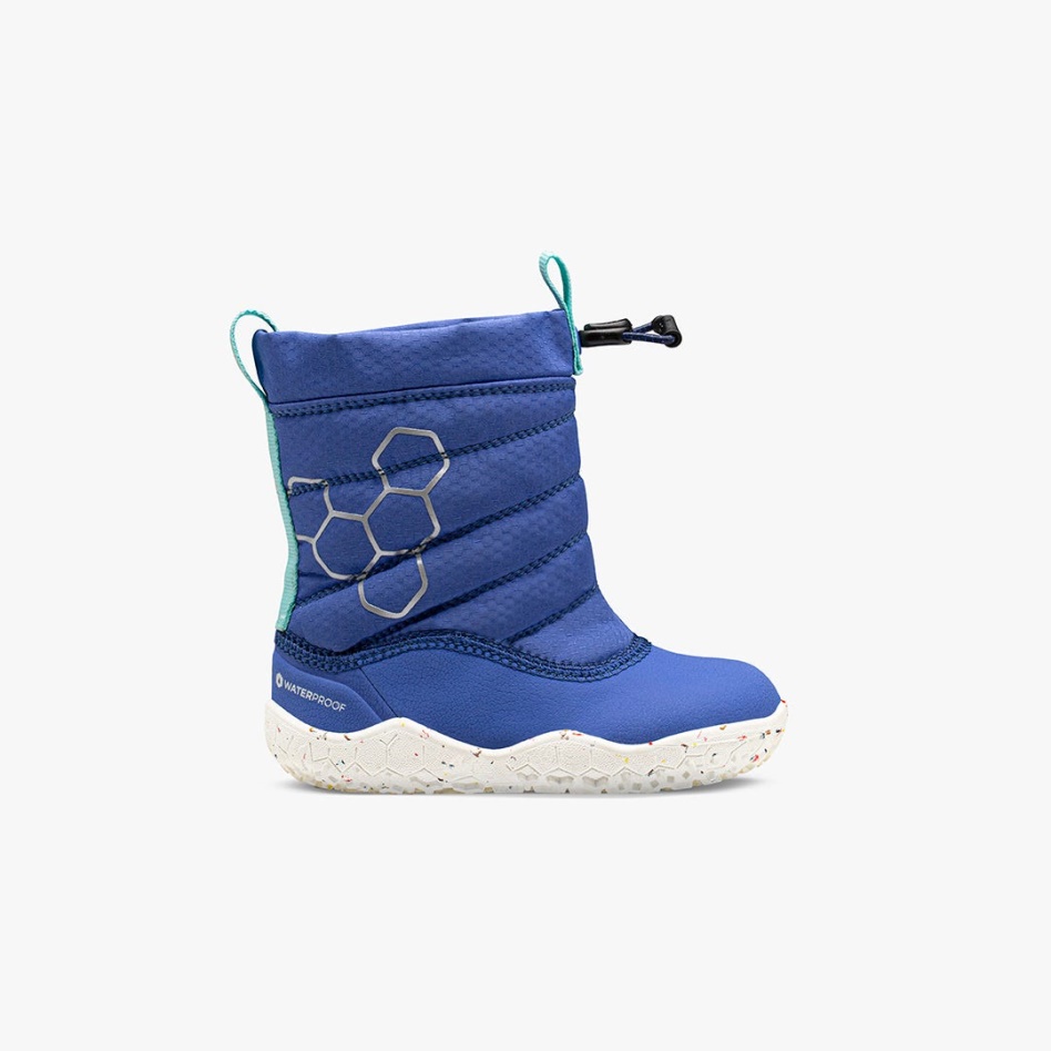 Lumi X Arctic Angels Toddlers Amparo Blue Vivobarefoot